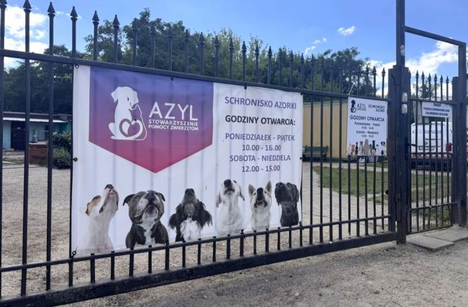 Modernizacja gorzowskiego schroniska „Azorki”