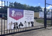 Modernizacja gorzowskiego schroniska „Azorki”