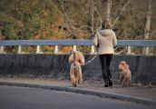 Ciekawa propozycja dla całych rodzin