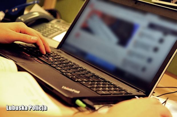 medium_news_header_44708.jpg