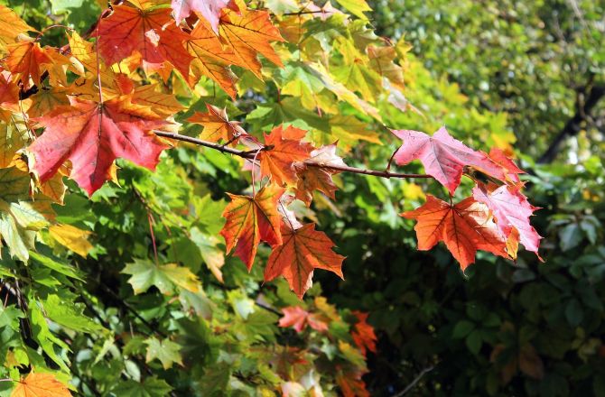 medium_news_header_44879.jpg
