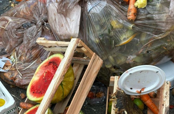 Wyrzucamy ogromne ilości jedzenia na śmieci