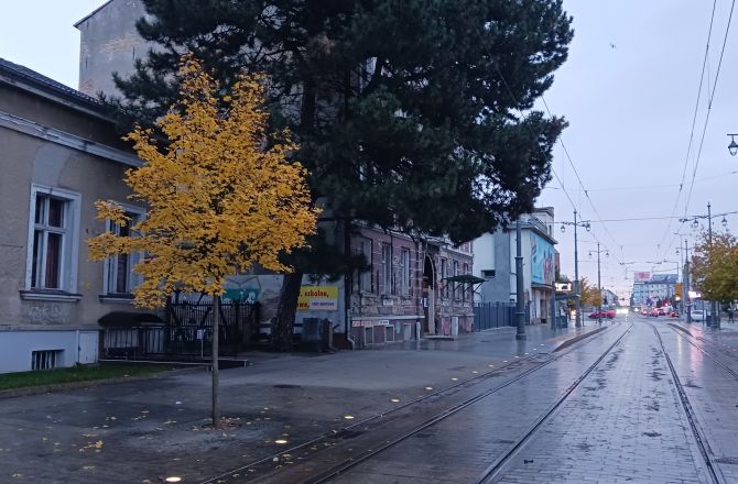 Coraz bliżej Halloween, który ja osobiście lubię