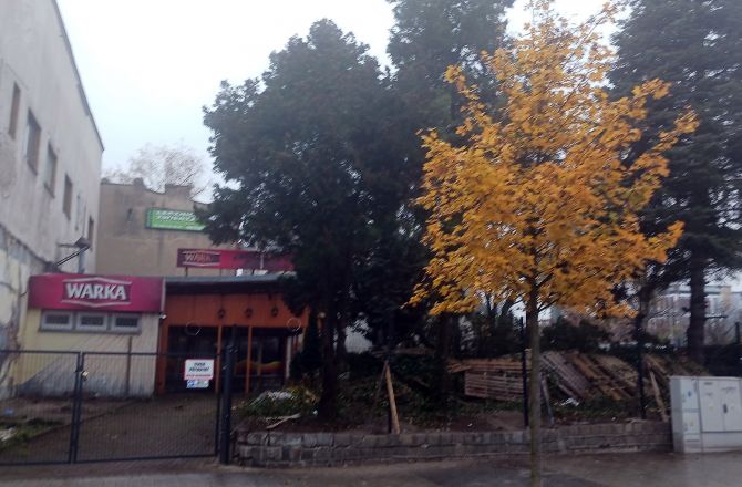 Rozpoczęło się porządkowanie pewnej działki