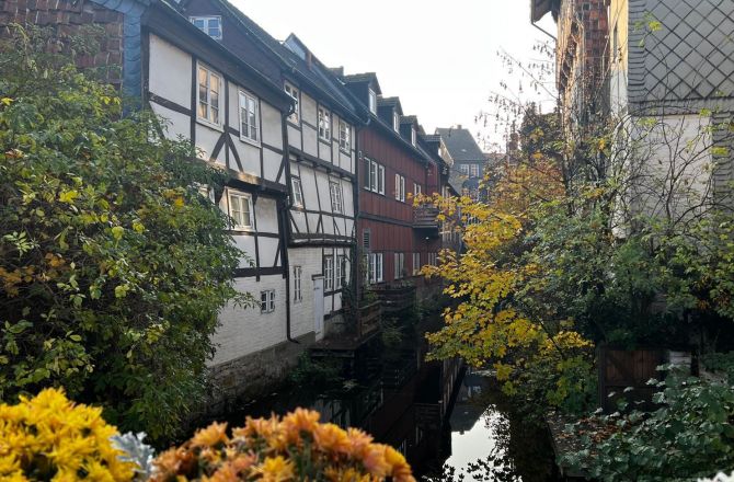 Tak się sprzedaje ciekawe kątki