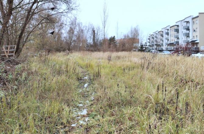 Przy Czartoryskiego zbudują drogę