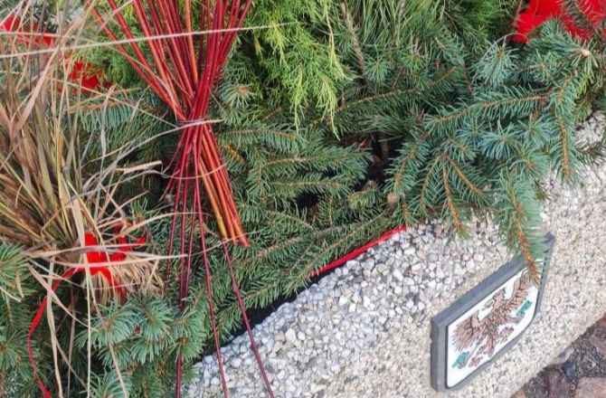 Miasto dekoruje, złodzieje od razu kradną