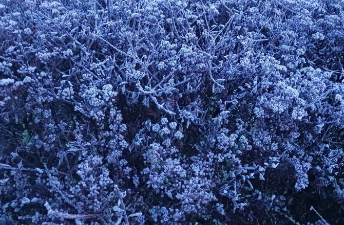 Zima do nas się zbliża