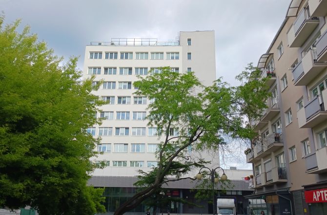 Niech mnie ktoś przekona, że magistrat wie, co robi