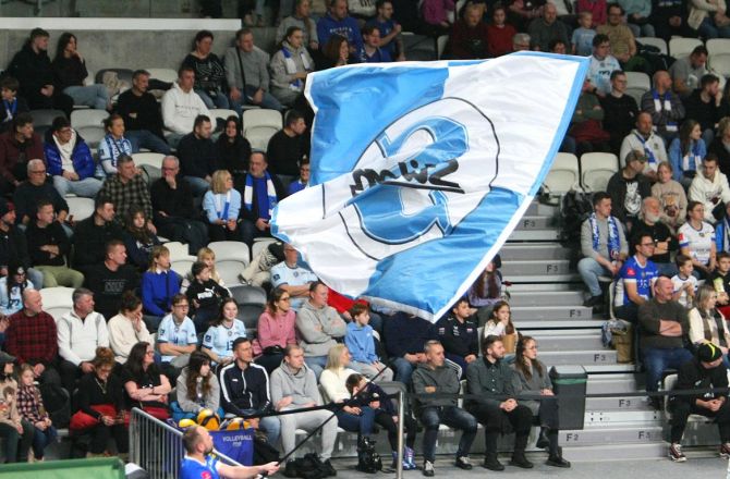 Uciekli spod topora, ale walka nadal trwa - GALERIA