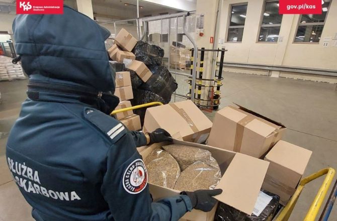 Znaleźli prawie pół tony nielegalnego tytoniu