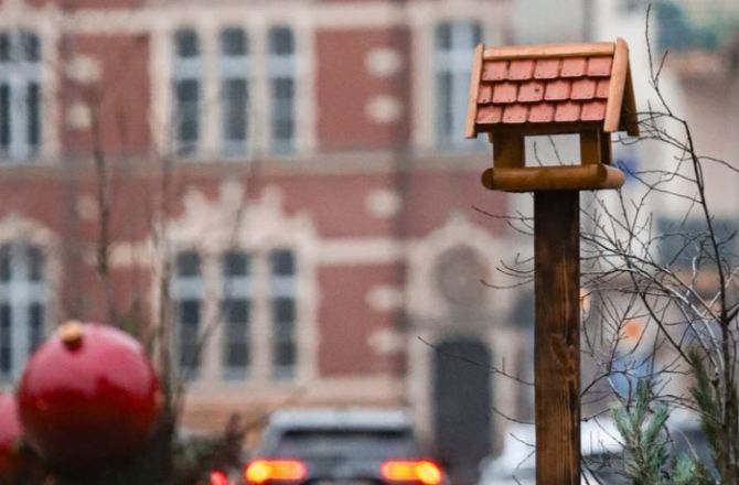 GRH przypomina: nie podajemy ptakom chleba ani słonych resztek