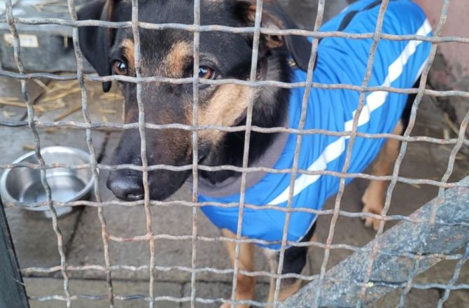 Pracują nad koncepcją, potem będzie budowa