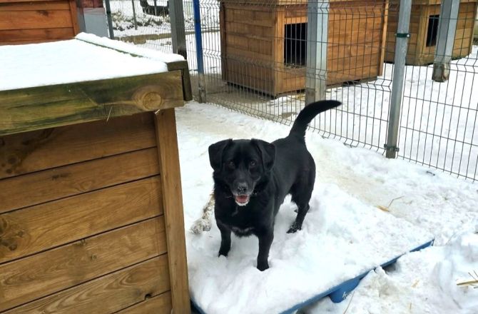 Teraz nad szczegółami pochylą się radni