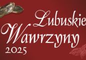 Gorzów fraszką stoi, zagłosować przystoi