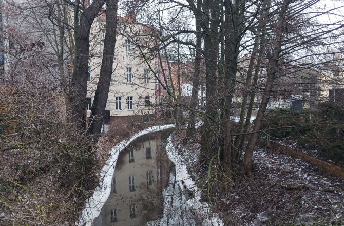 Zmrożony, odmrożony, zmrożony świat