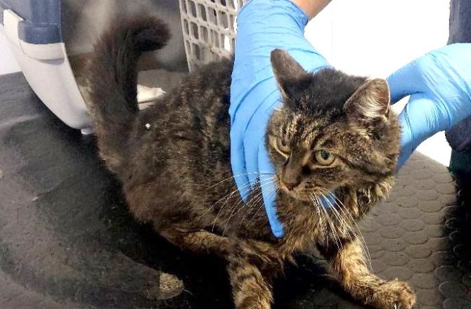 To była droga pełna emocji i trudnych decyzji